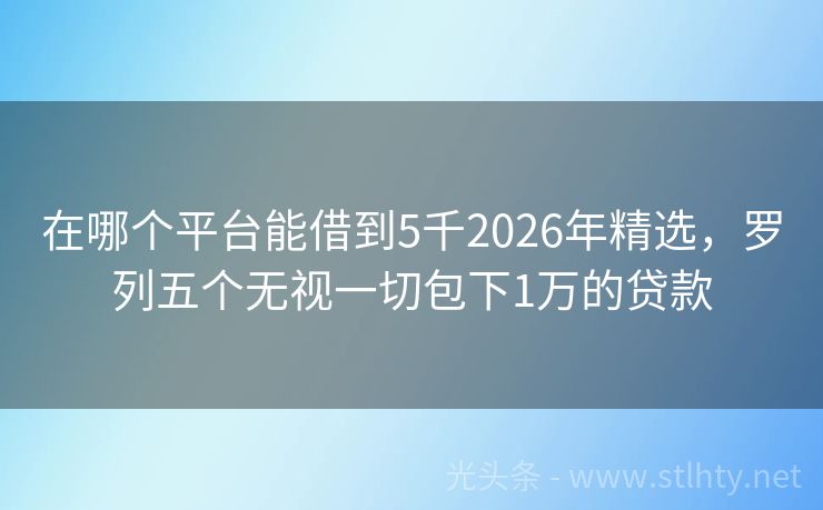 在哪个平台能借到5千2026年精选，罗列五个无视一切包下1万的贷款