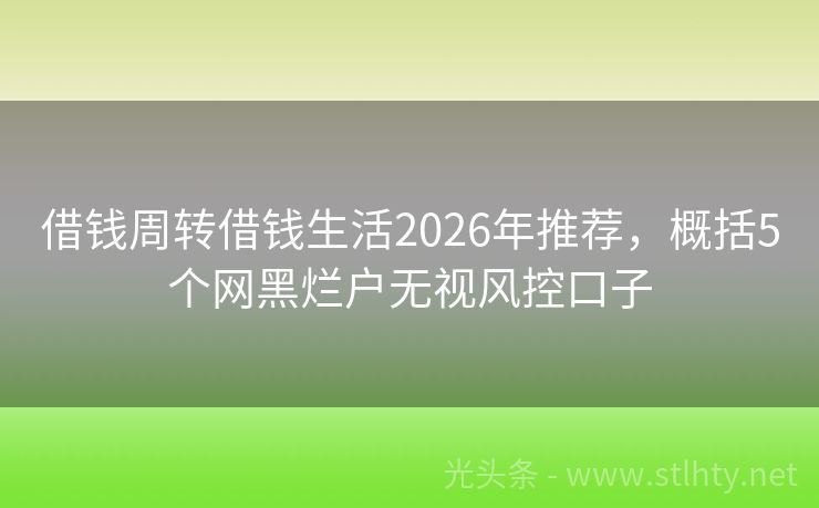 借钱周转借钱生活2026年推荐，概括5个网黑烂户无视风控口子