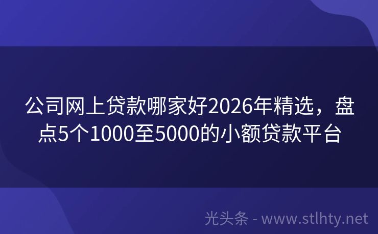 公司网上贷款哪家好2026年精选，盘点5个1000至5000的小额贷款平台