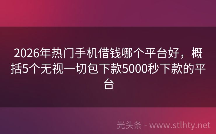2026年热门手机借钱哪个平台好，概括5个无视一切包下款5000秒下款的平台