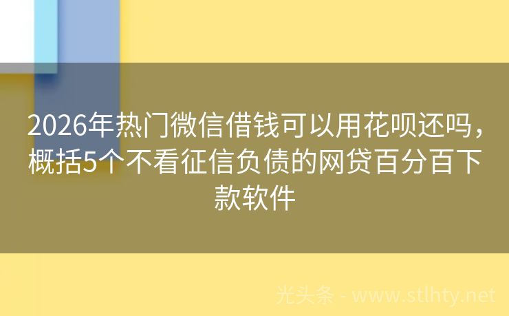 2026年热门微信借钱可以用花呗还吗，概括5个不看征信负债的网贷百分百下款软件