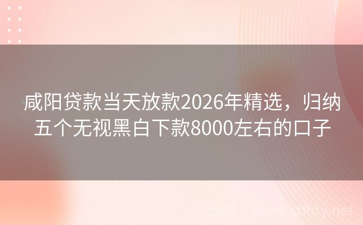 咸阳贷款当天放款2026年精选，归纳五个无视黑白下款8000左右的口子