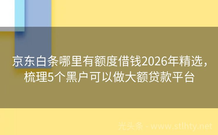 京东白条哪里有额度借钱2026年精选，梳理5个黑户可以做大额贷款平台