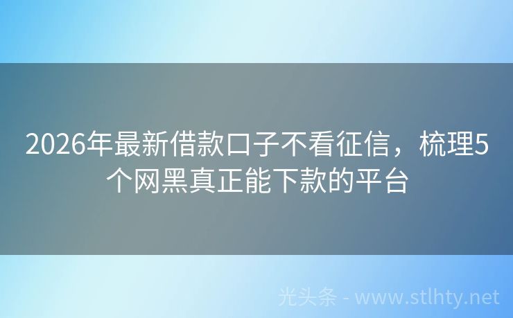 2026年最新借款口子不看征信，梳理5个网黑真正能下款的平台