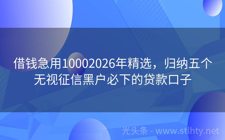 借钱急用10002026年精选，归纳五个无视征信黑户必下的贷款口子