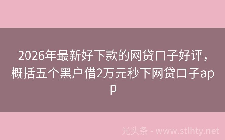 2026年最新好下款的网贷口子好评，概括五个黑户借2万元秒下网贷口子app