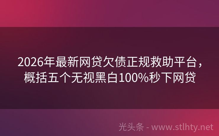 2026年最新网贷欠债正规救助平台，概括五个无视黑白100%秒下网贷