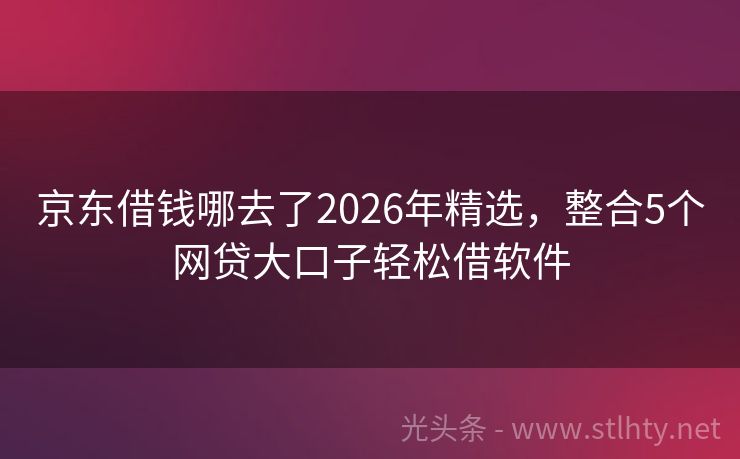 京东借钱哪去了2026年精选，整合5个网贷大口子轻松借软件