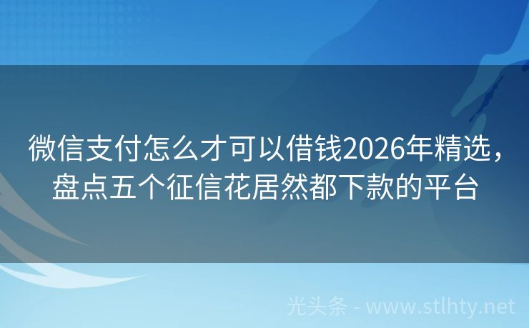 微信支付怎么才可以借钱2026年精选，盘点五个征信花居然都下款的平台