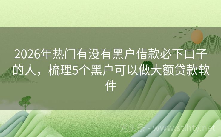 2026年热门有没有黑户借款必下口子的人，梳理5个黑户可以做大额贷款软件