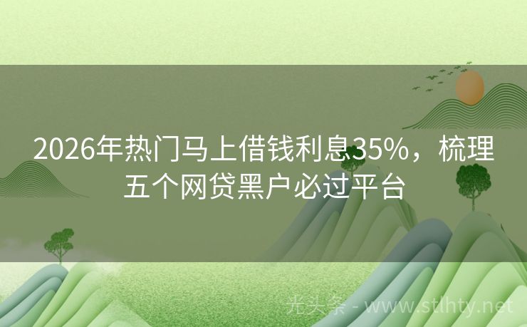 2026年热门马上借钱利息35%，梳理五个网贷黑户必过平台