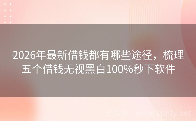 2026年最新借钱都有哪些途径，梳理五个借钱无视黑白100%秒下软件