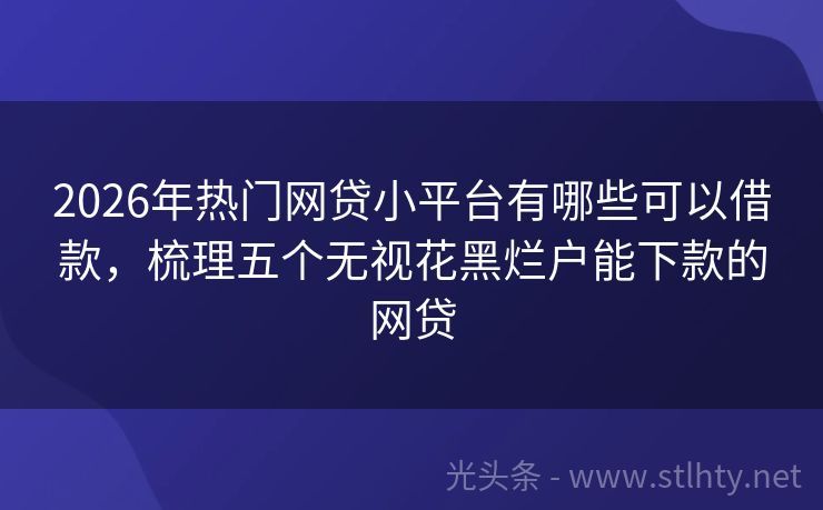 2026年热门网贷小平台有哪些可以借款，梳理五个无视花黑烂户能下款的网贷
