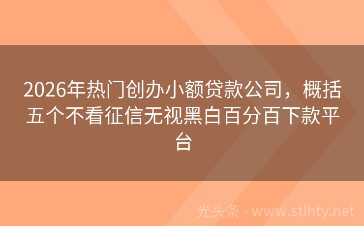 2026年热门创办小额贷款公司，概括五个不看征信无视黑白百分百下款平台