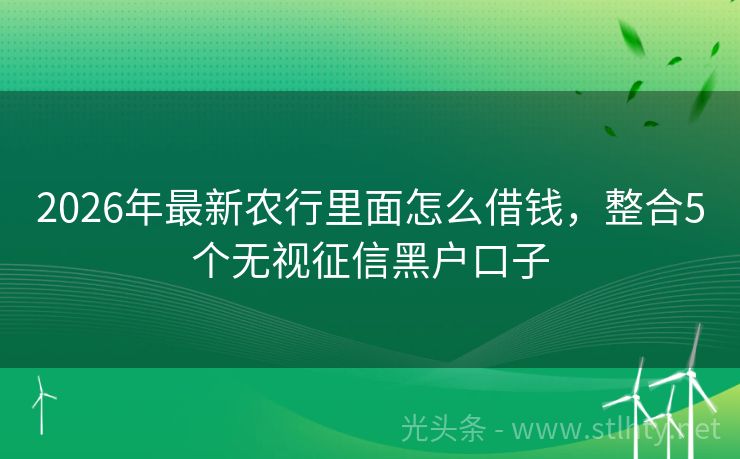 2026年最新农行里面怎么借钱，整合5个无视征信黑户口子