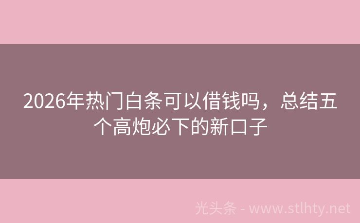 2026年热门白条可以借钱吗，总结五个高炮必下的新口子