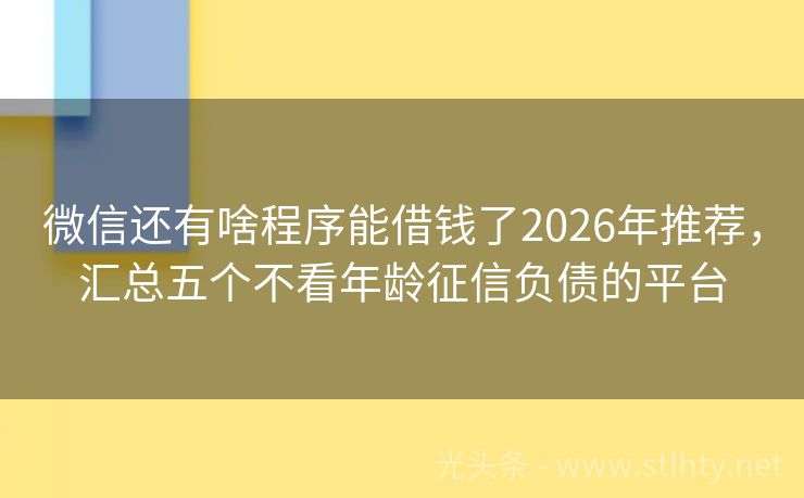 微信还有啥程序能借钱了2026年推荐，汇总五个不看年龄征信负债的平台