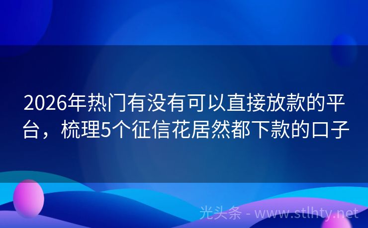 2026年热门有没有可以直接放款的平台，梳理5个征信花居然都下款的口子