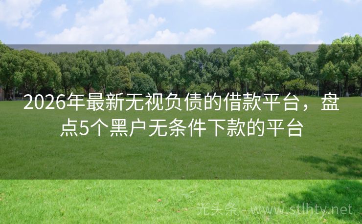2026年最新无视负债的借款平台，盘点5个黑户无条件下款的平台