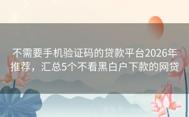 不需要手机验证码的贷款平台2026年推荐，汇总5个不看黑白户下款的网贷