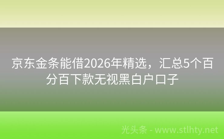 京东金条能借2026年精选，汇总5个百分百下款无视黑白户口子