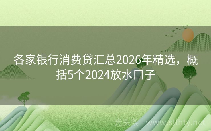 各家银行消费贷汇总2026年精选，概括5个2024放水口子