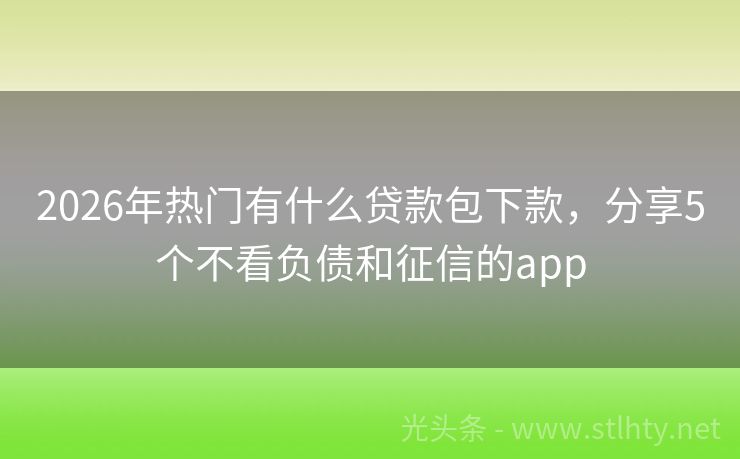 2026年热门有什么贷款包下款，分享5个不看负债和征信的app