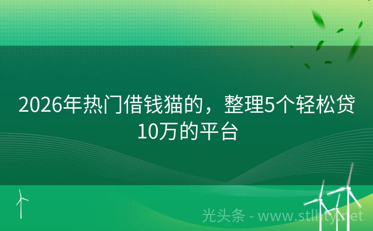 2026年热门借钱猫的，整理5个轻松贷10万的平台