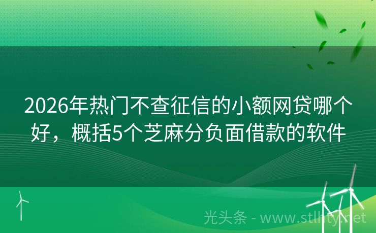 2026年热门不查征信的小额网贷哪个好，概括5个芝麻分负面借款的软件