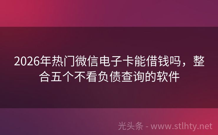 2026年热门微信电子卡能借钱吗，整合五个不看负债查询的软件