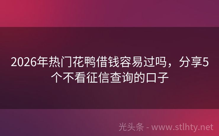 2026年热门花鸭借钱容易过吗，分享5个不看征信查询的口子