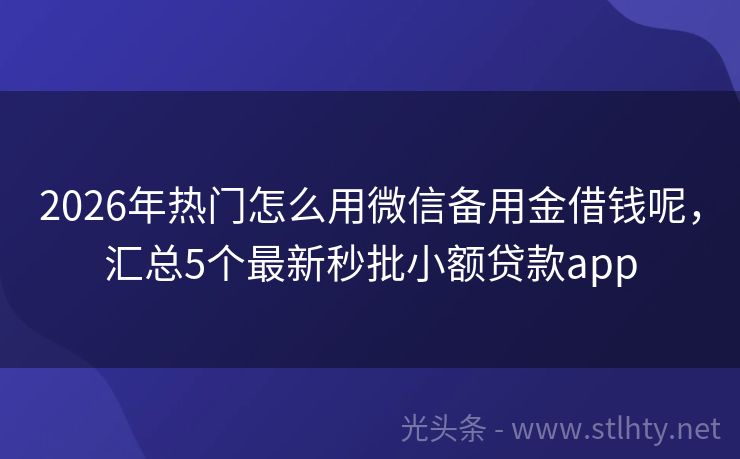 2026年热门怎么用微信备用金借钱呢，汇总5个最新秒批小额贷款app