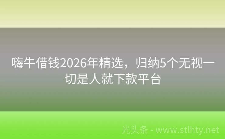 嗨牛借钱2026年精选，归纳5个无视一切是人就下款平台