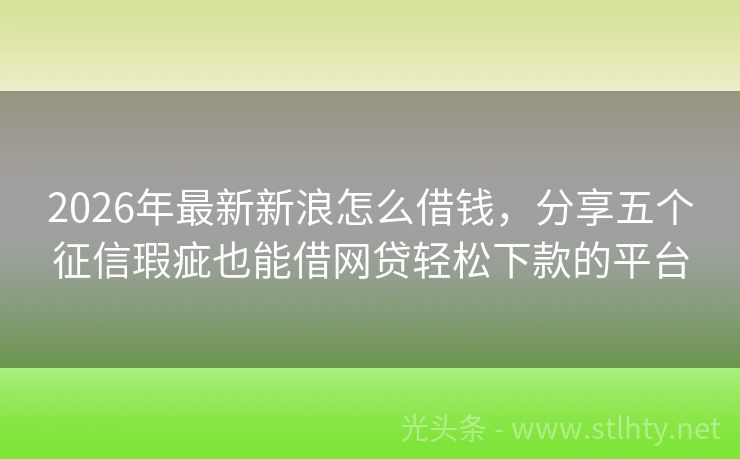2026年最新新浪怎么借钱，分享五个征信瑕疵也能借网贷轻松下款的平台