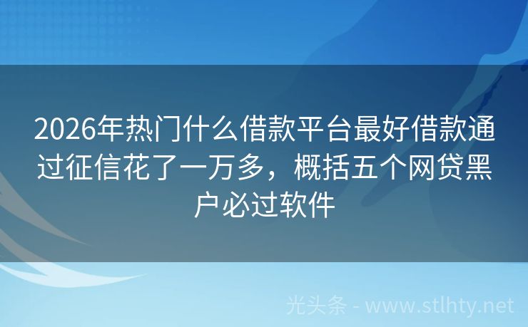 2026年热门什么借款平台最好借款通过征信花了一万多，概括五个网贷黑户必过软件