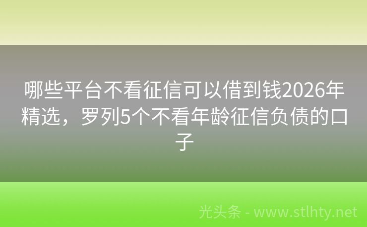 哪些平台不看征信可以借到钱2026年精选，罗列5个不看年龄征信负债的口子