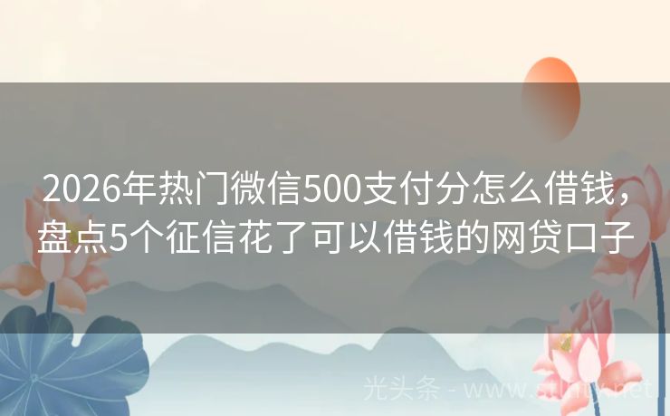 2026年热门微信500支付分怎么借钱，盘点5个征信花了可以借钱的网贷口子