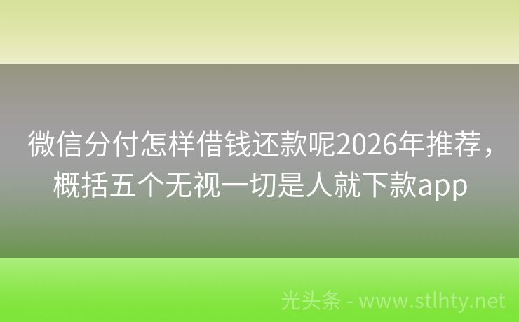 微信分付怎样借钱还款呢2026年推荐，概括五个无视一切是人就下款app