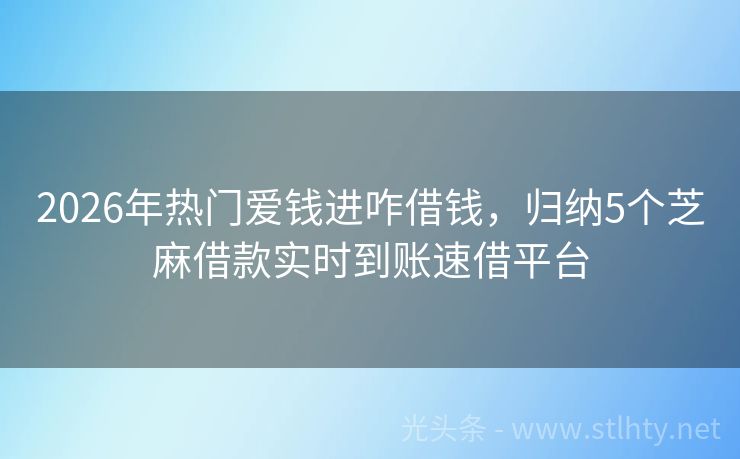 2026年热门爱钱进咋借钱，归纳5个芝麻借款实时到账速借平台