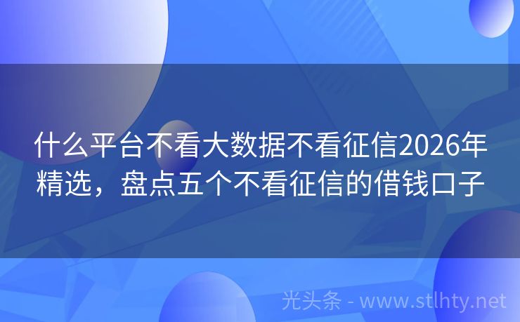 什么平台不看大数据不看征信2026年精选，盘点五个不看征信的借钱口子