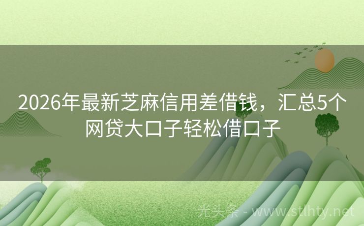 2026年最新芝麻信用差借钱，汇总5个网贷大口子轻松借口子