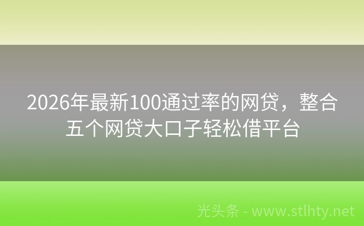 2026年最新100通过率的网贷,整合五个网贷大口子轻松借平台