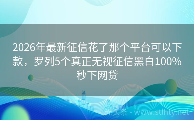 2026年最新征信花了那个平台可以下款，罗列5个真正无视征信黑白100%秒下网贷