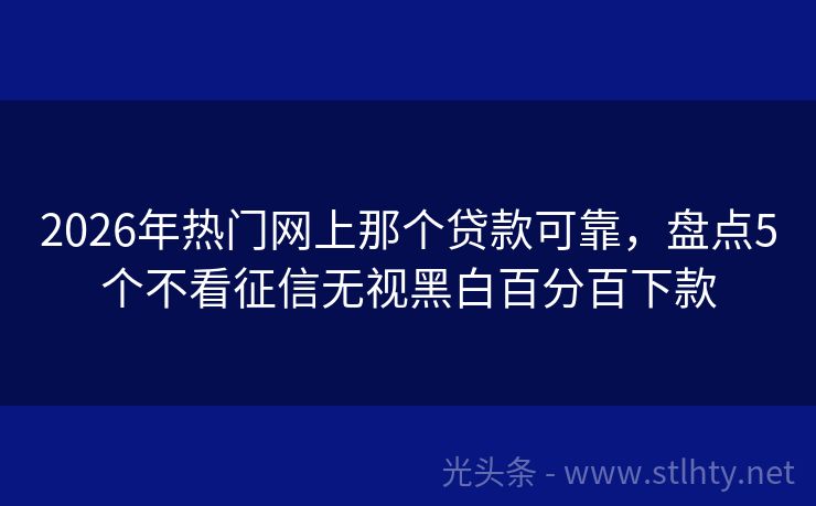 2026年热门网上那个贷款可靠，盘点5个不看征信无视黑白百分百下款