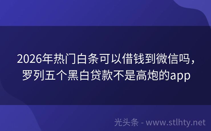 2026年热门白条可以借钱到微信吗，罗列五个黑白贷款不是高炮的app