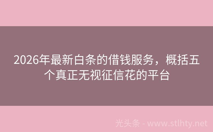 2026年最新白条的借钱服务，概括五个真正无视征信花的平台