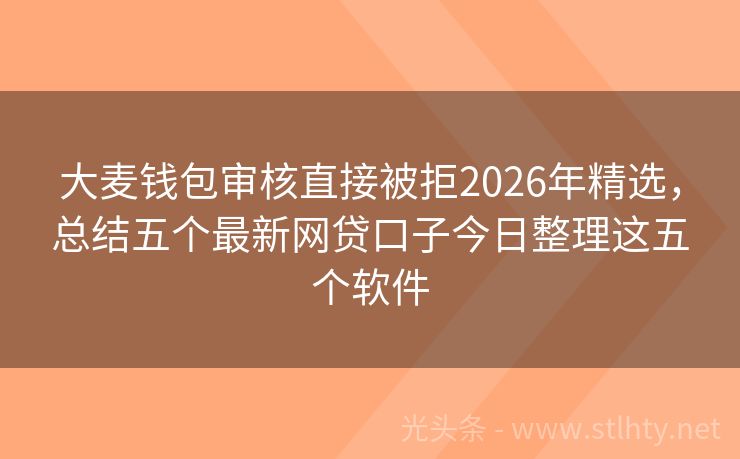 大麦钱包审核直接被拒2026年精选，总结五个最新网贷口子今日整理这五个软件
