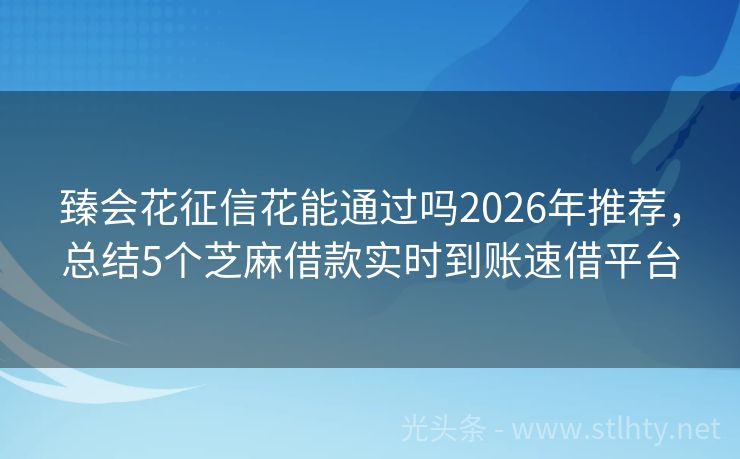 臻会花征信花能通过吗2026年推荐，总结5个芝麻借款实时到账速借平台