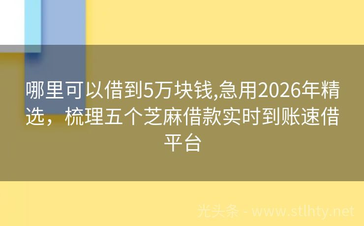哪里可以借到5万块钱,急用2026年精选，梳理五个芝麻借款实时到账速借平台