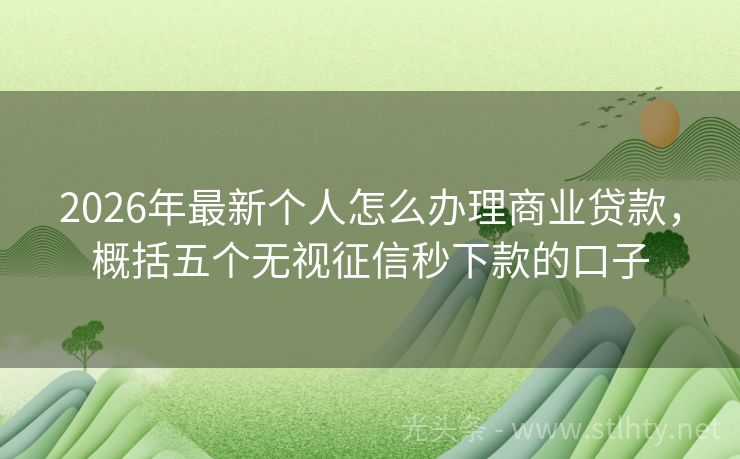 2026年最新个人怎么办理商业贷款，概括五个无视征信秒下款的口子